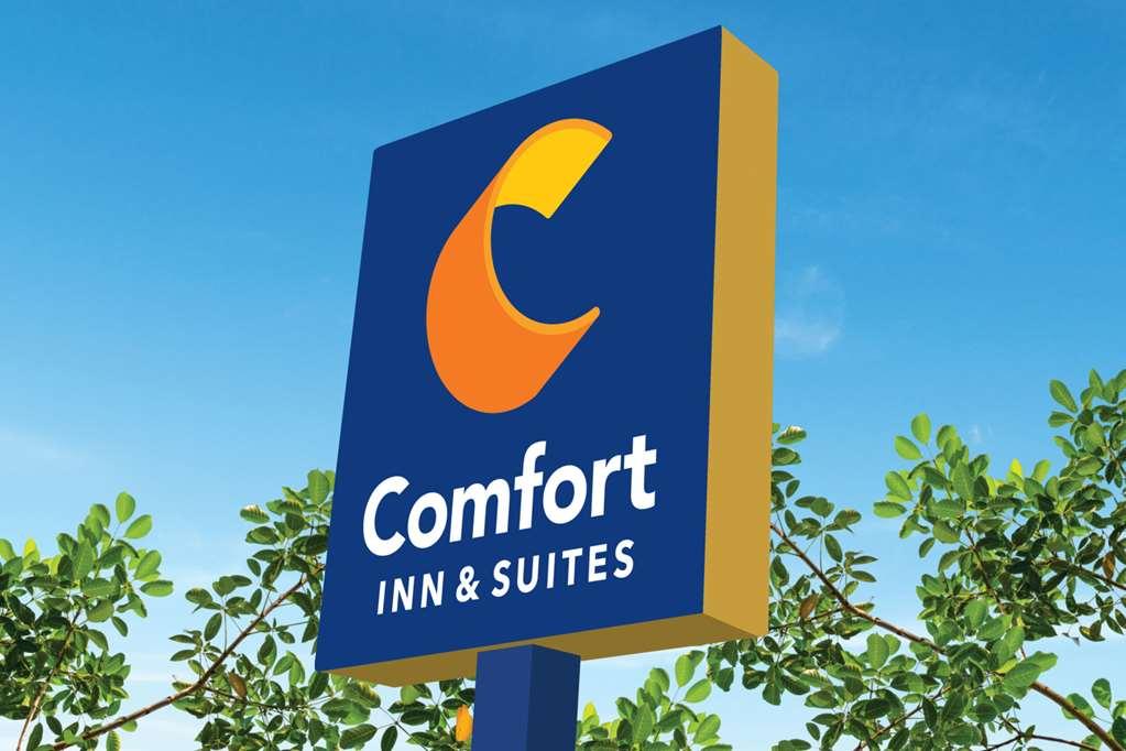 Comfort Inn & Suites Us-60 Mountain Grove Экстерьер фото